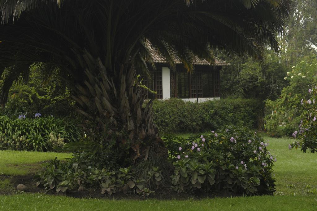 Bed and Breakfast Molino San Juan Cayambe Exterior foto